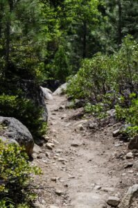 Caples Creek trail