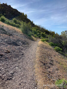 Mount Diablo Mary Bowerman trail