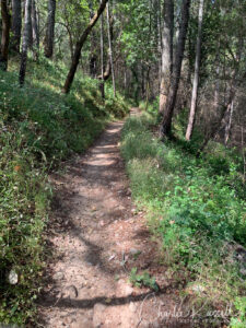 Lawndale trail at Trione-Annadel State Park
