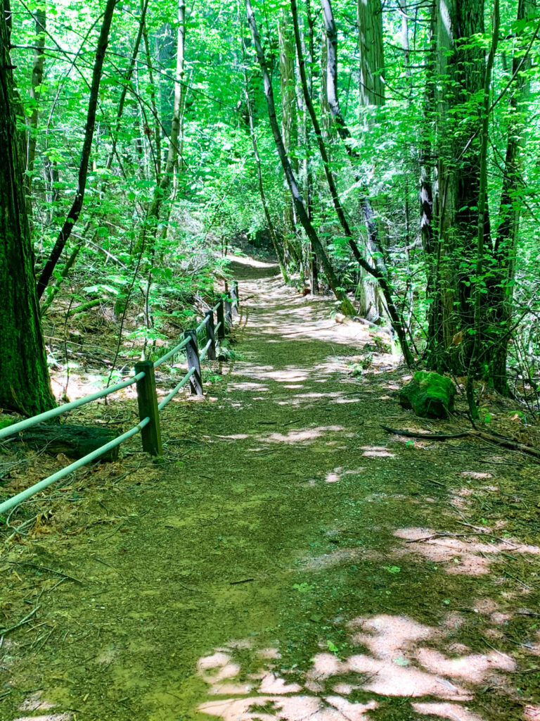 Rock Creek Nature Study Area trail