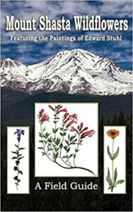 Mount Shasta Wildflowers