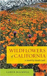 Wildflowers of California Month by Month