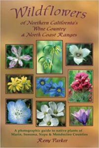 Wildflowers of Northern California Wine Country